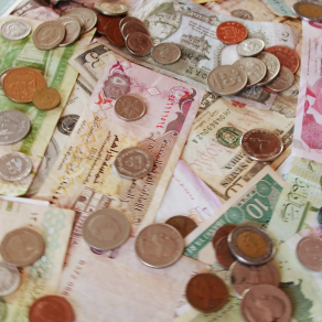 currency-notes-and-coins-from-all-over-the-world_hkg8pfxbml_thumbnail-full01